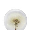 Lifestyle Dauphinette | Dauphinette-Dandelion Crystal