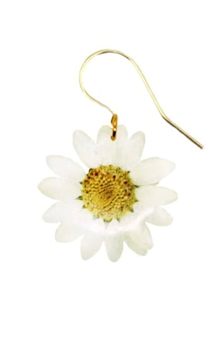 Women Dauphinette Jewelry | Dauphinette-Daisy Earring