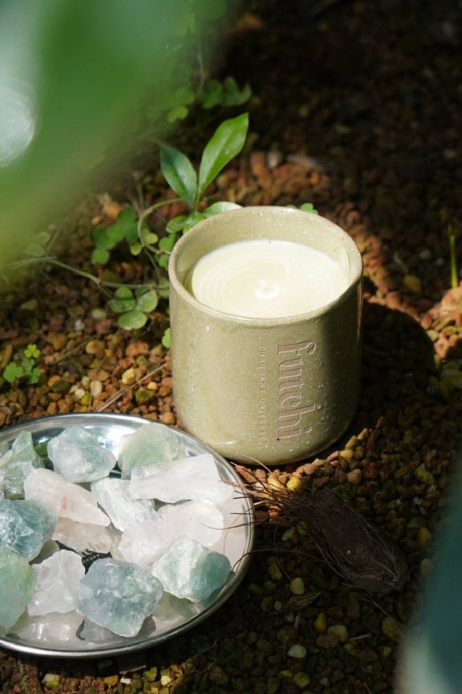 Lifestyle Futchi London | Futchi London-Candle : Poison Wood Forest